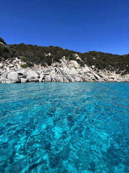 img_7976.jpeg img_7976.jpeg