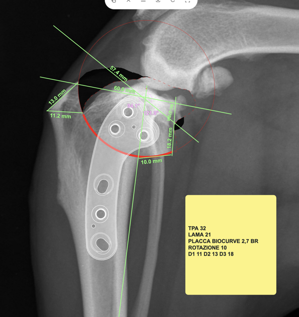 screenshot 2025-09-08 alle 11.14.20