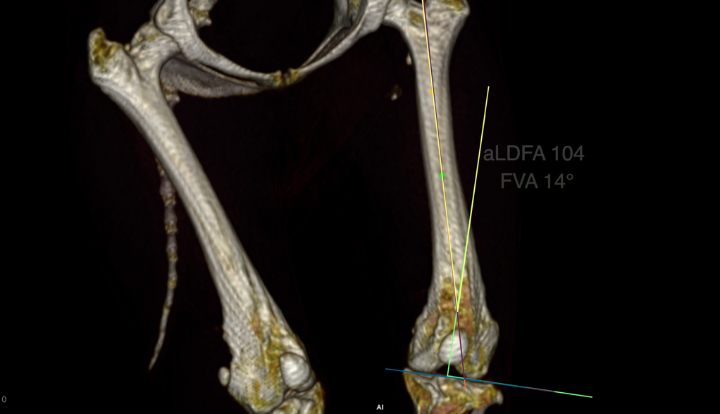 screenshot 2025-11-25 alle 13.38.54