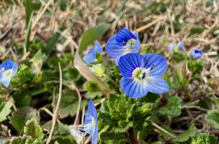 img_4675.jpeg
