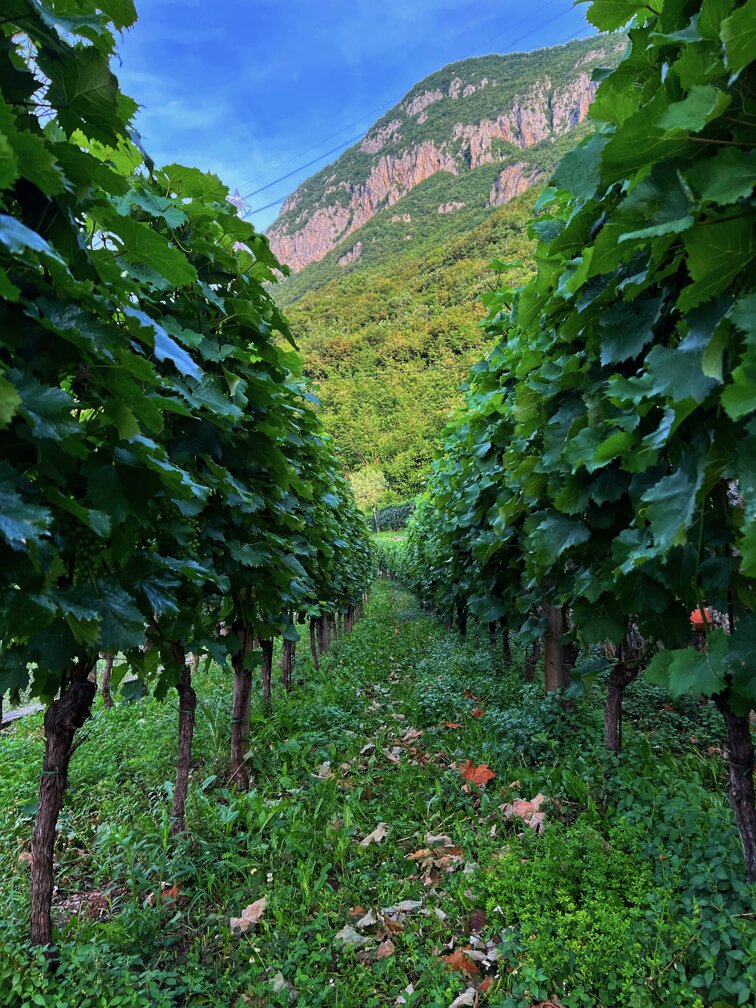 img_0607.jpeg