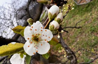 img_3321.jpeg