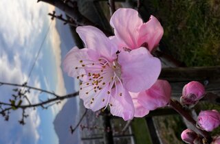 img_3463.jpeg