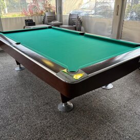 Biliardo Pro-Star Pool