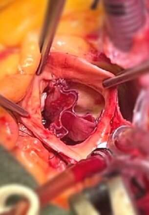 834d8fa0-9294-4acd-b506-746871d673f7