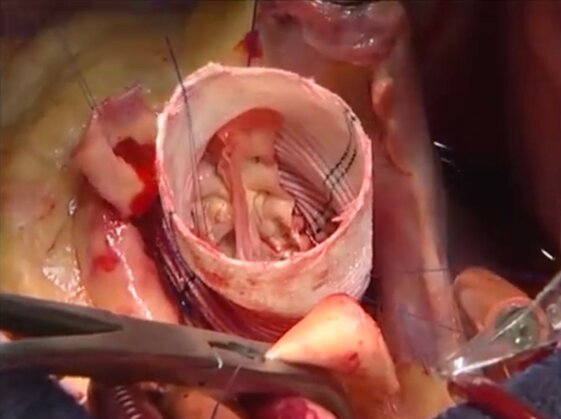 f1d26773-1170-4f7e-abf3-e2139b49407e.jpeg f1d26773-1170-4f7e-abf3-e2139b49407e.jpeg