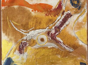 img_8645.jpeg img_8645.jpeg