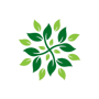solid_leafs_icon-removebg-preview