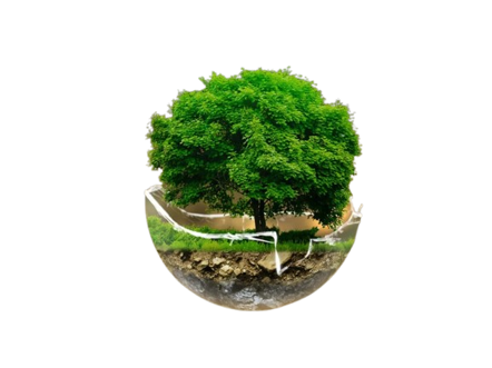 ecobonus-2025-removebg-preview ecobonus-2025-removebg-preview