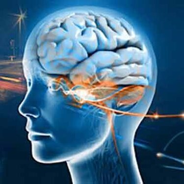 398dd7c8-2600-4b8e-ada0-9023ad9a52a5