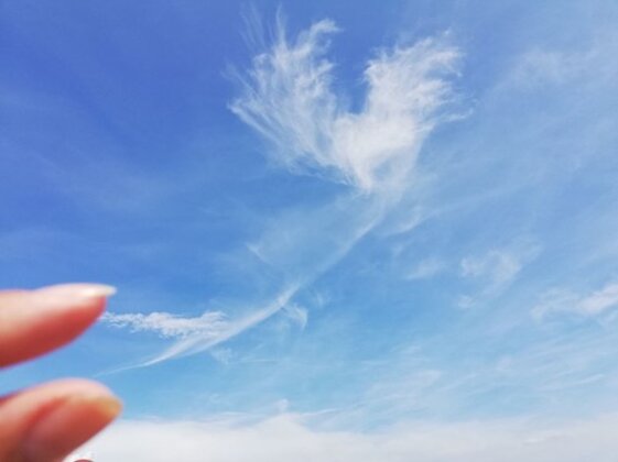 c7ede4d1-d9bd-44f5-ad1e-10bfd18e3ae8