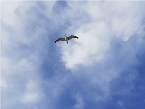 5ee21a33-4680-46f0-aeca-4ae4d10608e0