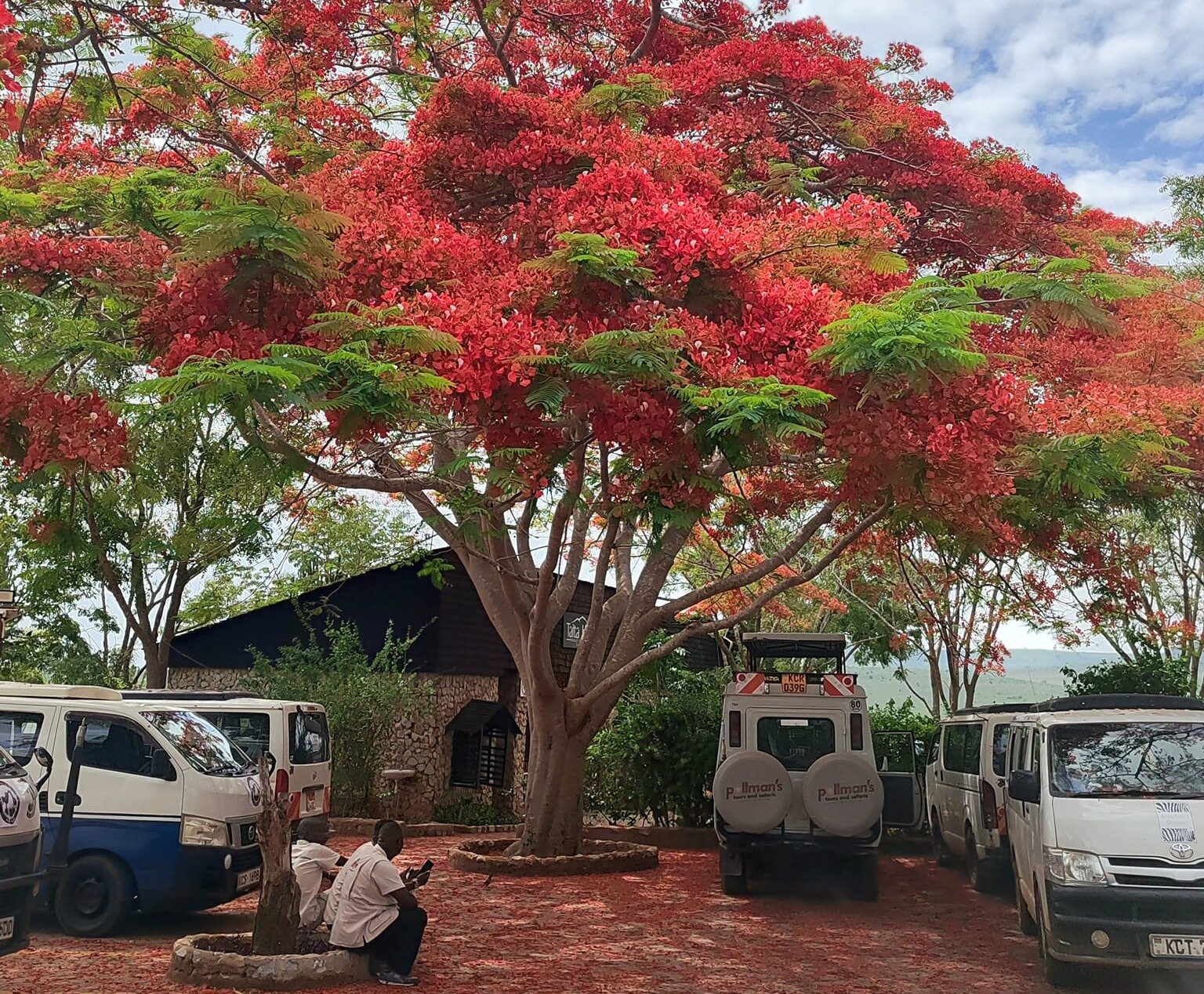 Kenya - Taita Hill centratura 2 chakra