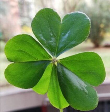 20318cbd-c5b3-4fad-8beb-4fd97223b099