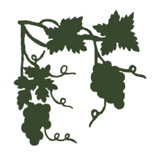 pexels-imam-ali-holy-shrine-605457374-22743606-cutout