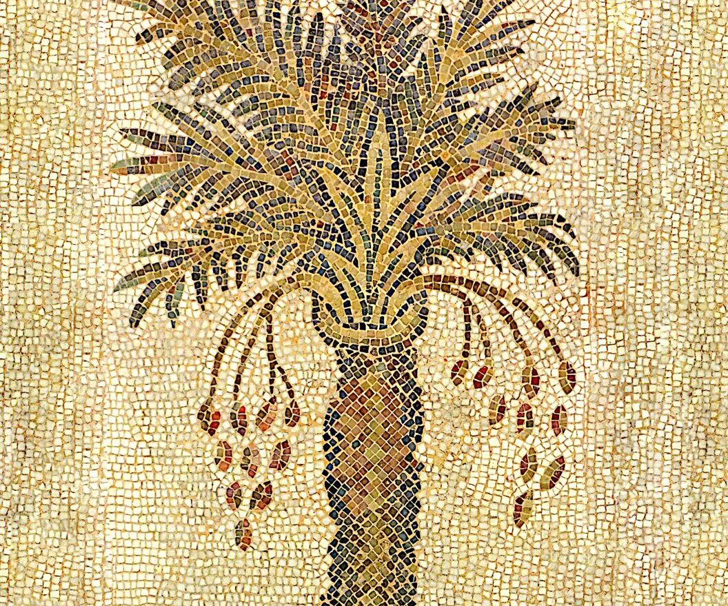 logo solo immagine copia.jpeg