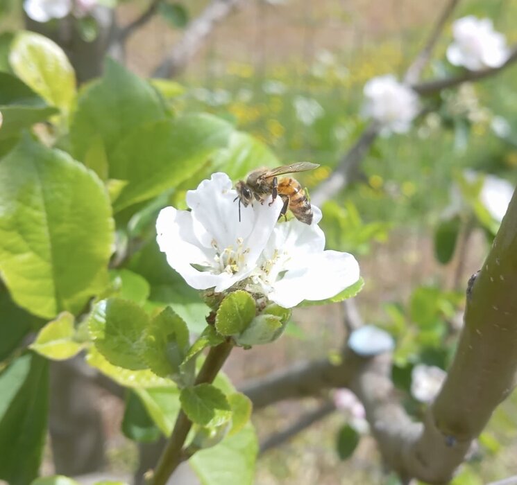 4a831454-39ee-464e-a3f3-38a9ecd69fb2