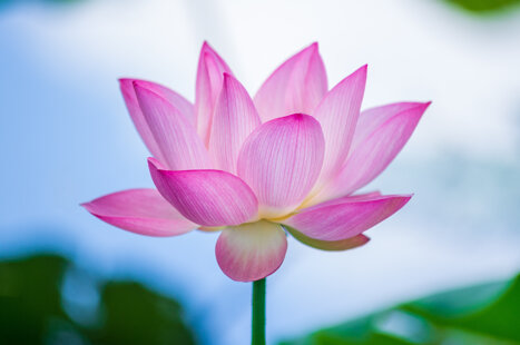 6e10614a-0c03-413f-8803-1f602270432c