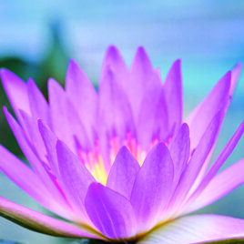 f3ad992e-e2a2-4991-bd27-2babb8a1778e f3ad992e-e2a2-4991-bd27-2babb8a1778e