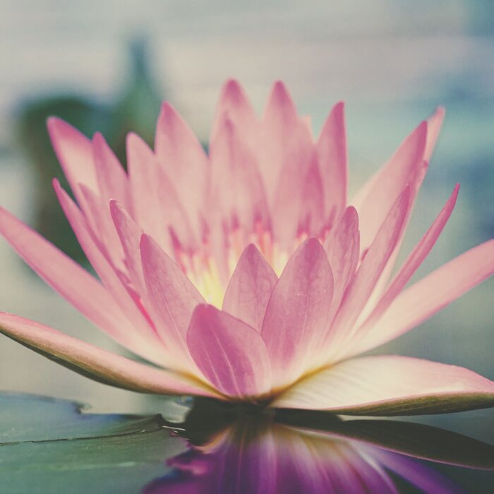 12853f1c-4ee0-4b23-b12f-e9d12727c69b