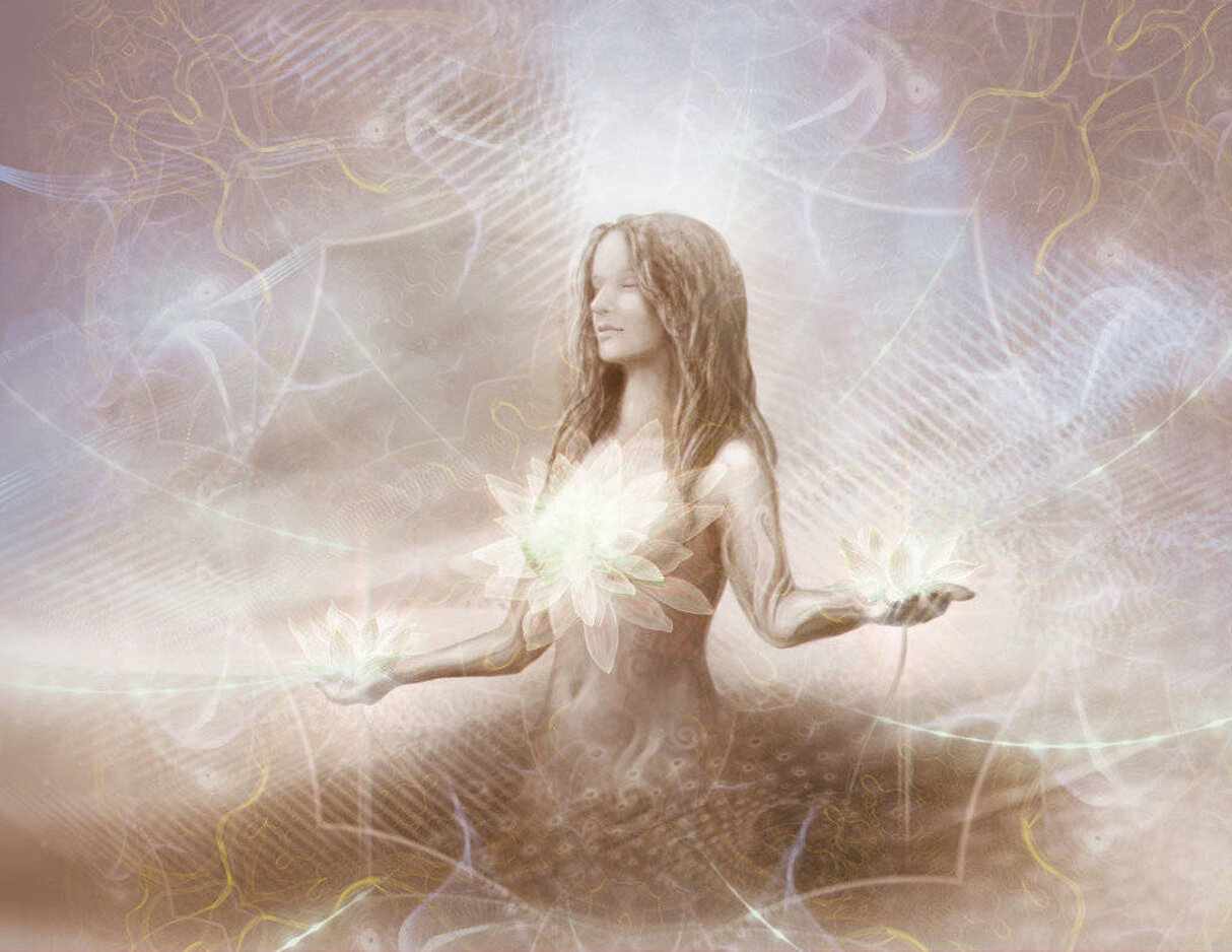 6c142725-0d20-450c-88d5-d04007dc14f3