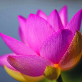 3128e5df-a550-4914-a056-0ebb4efa41b2 3128e5df-a550-4914-a056-0ebb4efa41b2