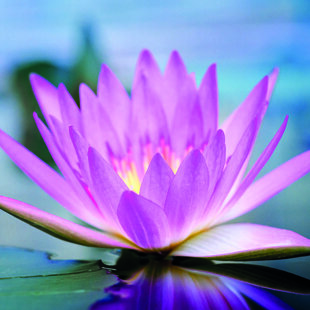 72be4887-068c-4f00-ba02-a2902e4365bc