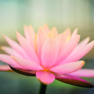 f28b5658-9467-49b2-93fe-890e7b4982fb