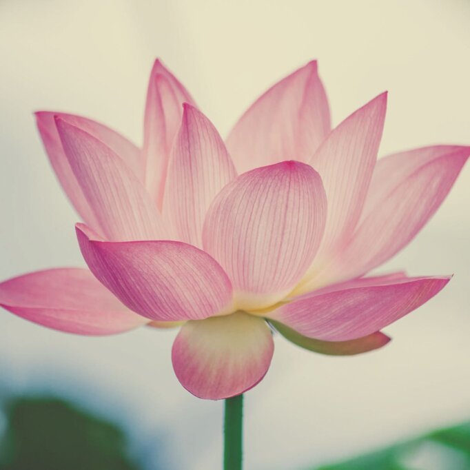 beafaa14-1485-4c5d-85fc-7eecfd5466e0