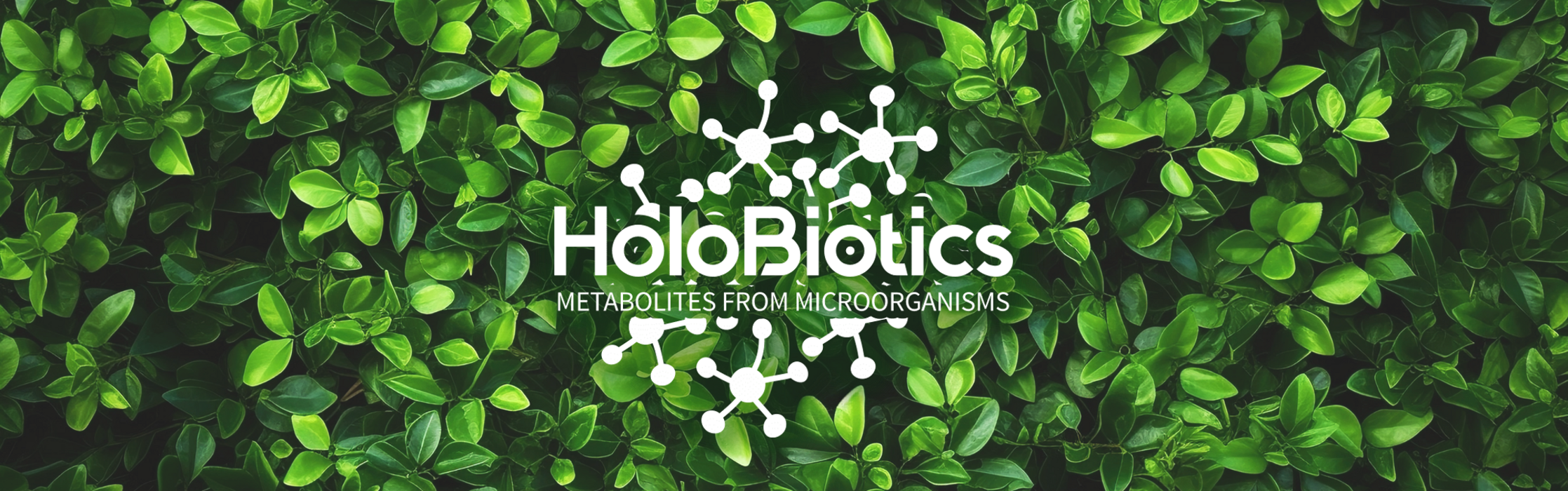 9e596533-cdeb-467d-b718-59e9e4cbf085 9e596533-cdeb-467d-b718-59e9e4cbf085