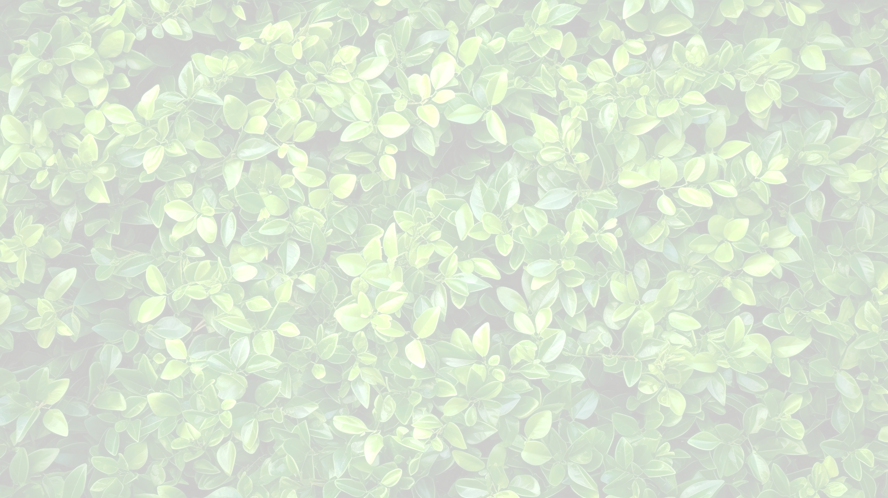 aa1166e6-cc65-42c0-bf58-00475dda2707 aa1166e6-cc65-42c0-bf58-00475dda2707