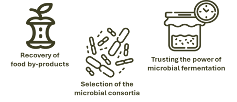 56e11538-2793-4043-b9ff-a7d8096facdc 56e11538-2793-4043-b9ff-a7d8096facdc