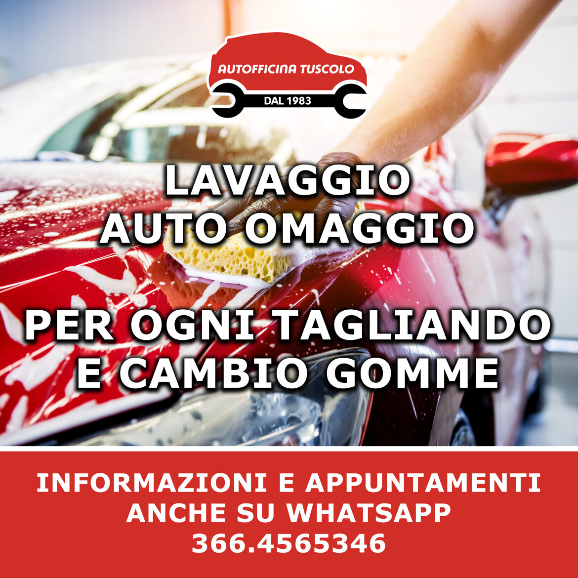 29556e90-0059-4c70-9724-6c2fe7dc2525