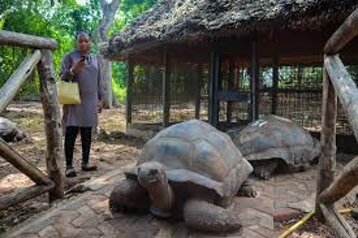 f74b01c2-7887-4447-b7f9-422ad0e35473