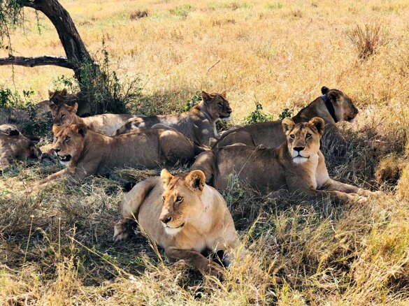 dc4d25f8-e188-4a9c-9534-12ceab4c946f