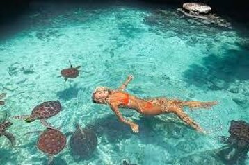 6593c1a2-d5ae-4c5e-a2f4-1ca50cdc057b