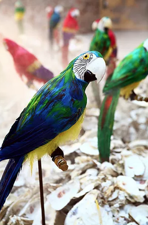 b42ca94a-8eff-4cf2-8a9f-177d18b9a97e b42ca94a-8eff-4cf2-8a9f-177d18b9a97e