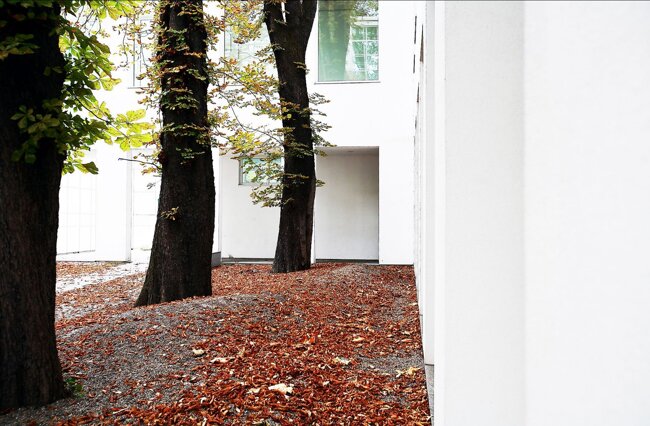 9d65cba0-c0a3-4641-b17f-3237bd2266cb