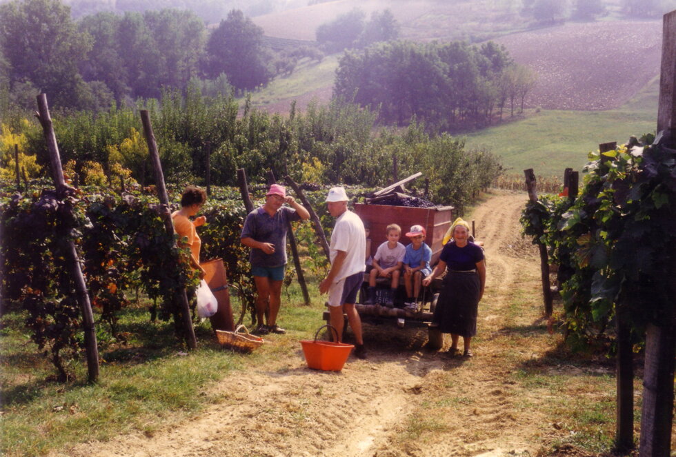 01.1.acompr.jpeg 01.1.acompr.jpeg