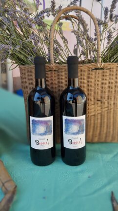 img20250629105800.jpeg img20250629105800.jpeg