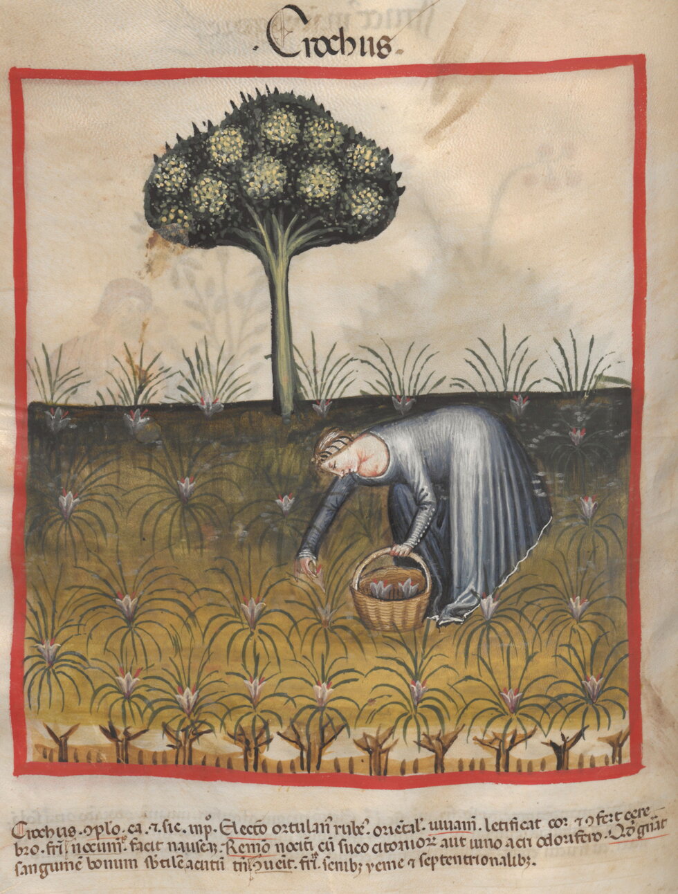 03.5.acompr.jpeg 03.5.acompr.jpeg