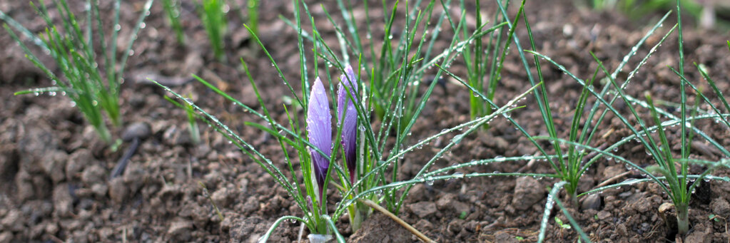 slide show 2.jpeg slide show 2.jpeg