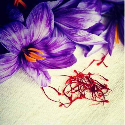 03.2.a (under half)a.jpeg