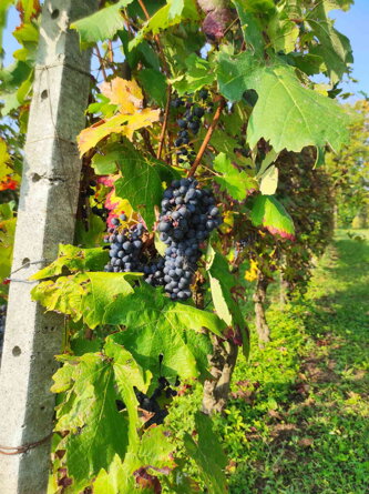 02.3.1a.jpeg 02.3.1a.jpeg