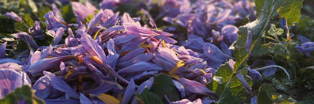 slide show 3.jpeg slide show 3.jpeg