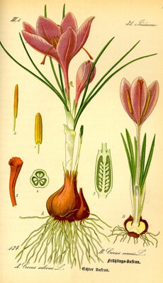 03.1.bcompr.jpeg 03.1.bcompr.jpeg