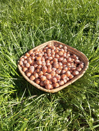 02.3.3.a.jpeg 02.3.3.a.jpeg