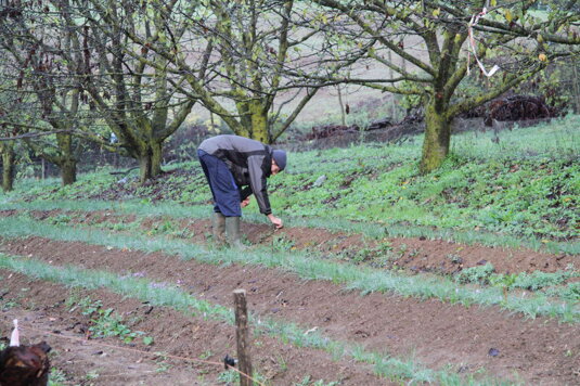 02.1.a.jpeg 02.1.a.jpeg