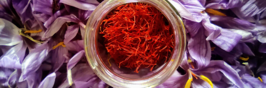 slide show 4.jpeg slide show 4.jpeg