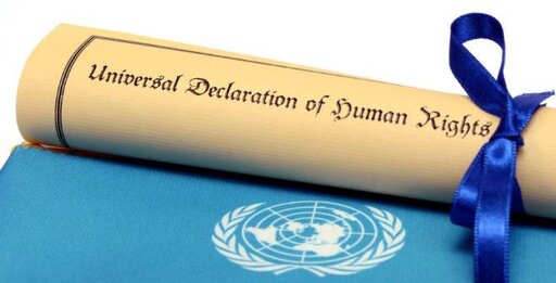 2d4af568-74ca-4c9e-99d1-f87efea6271f 2d4af568-74ca-4c9e-99d1-f87efea6271f